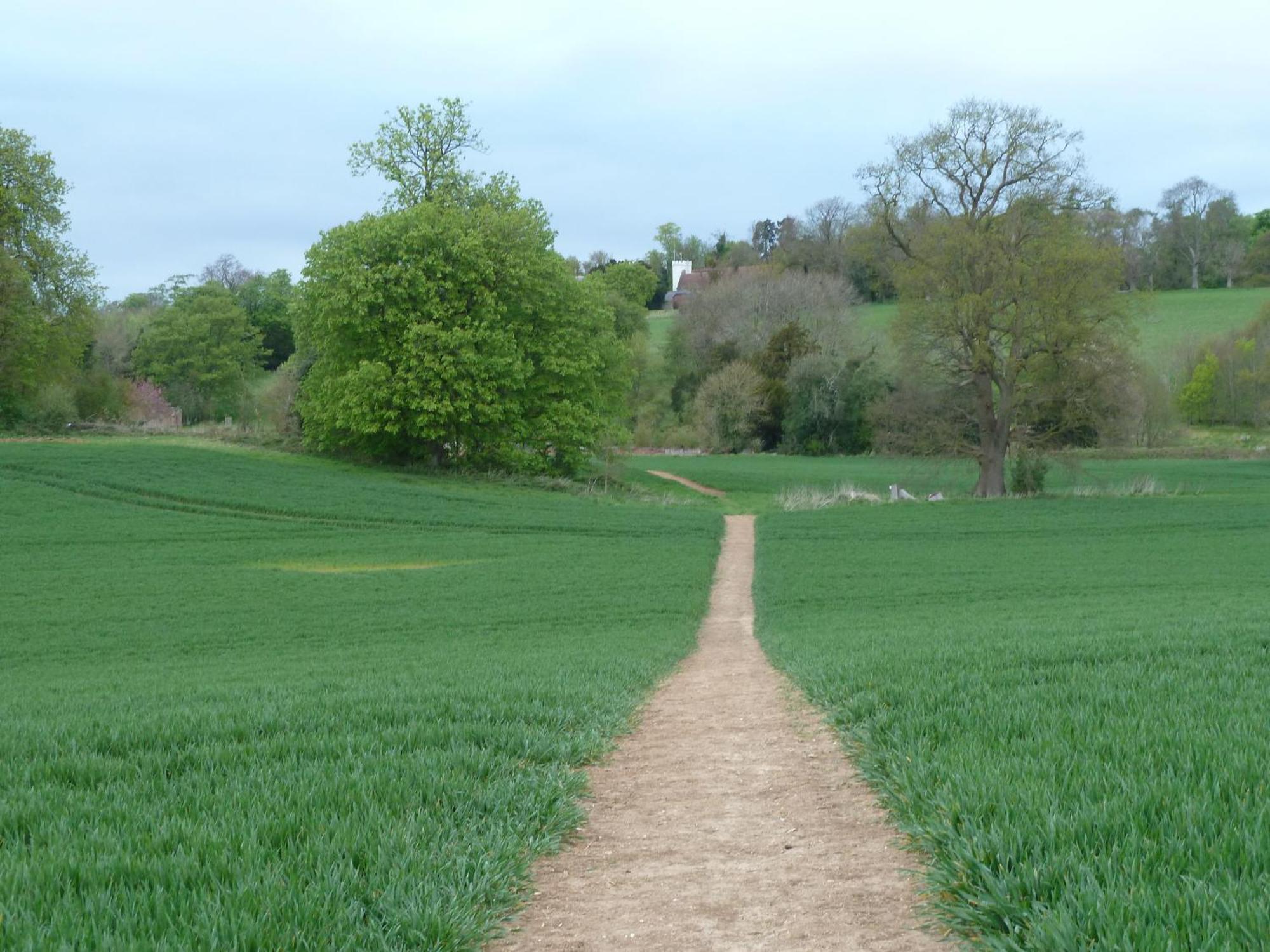 Palace Farm Courtyard And Granary Rooms Doddington  Экстерьер фото